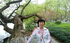 日本一本为道高清视频